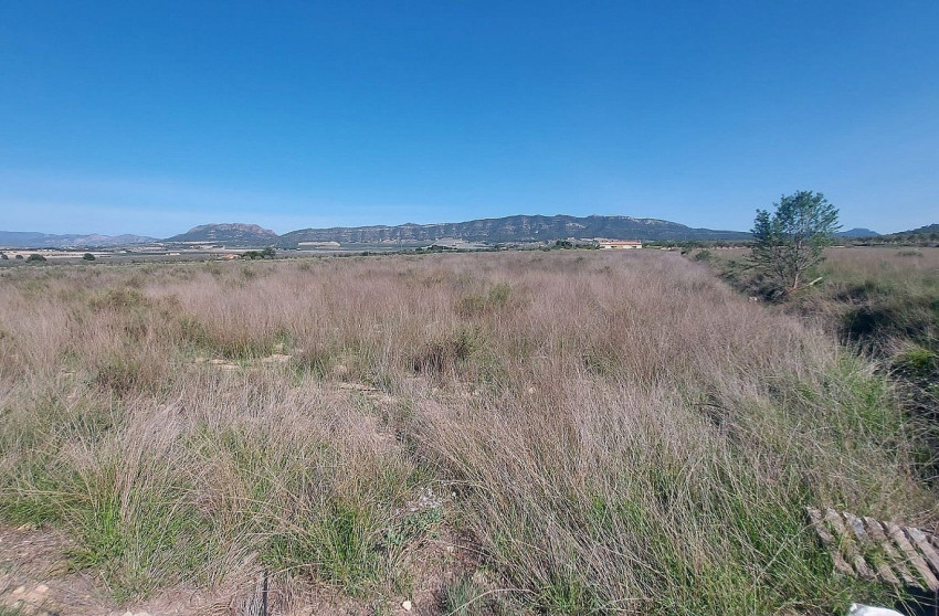 Revente - Terrain -
Salinas