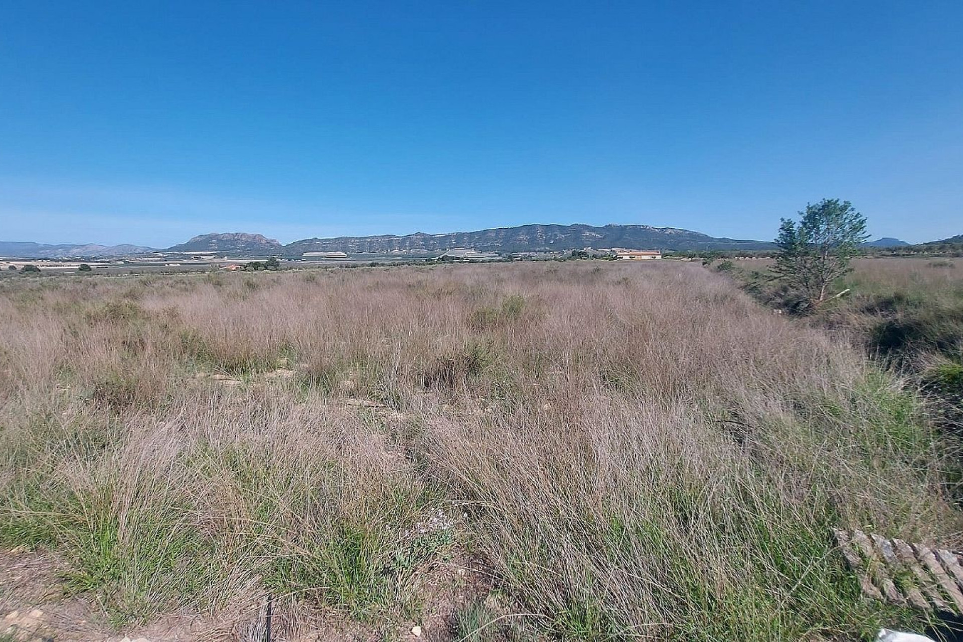 Revente - Terrain -
Salinas