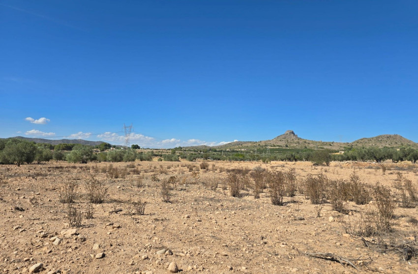 Revente - Terrain -
Salinas