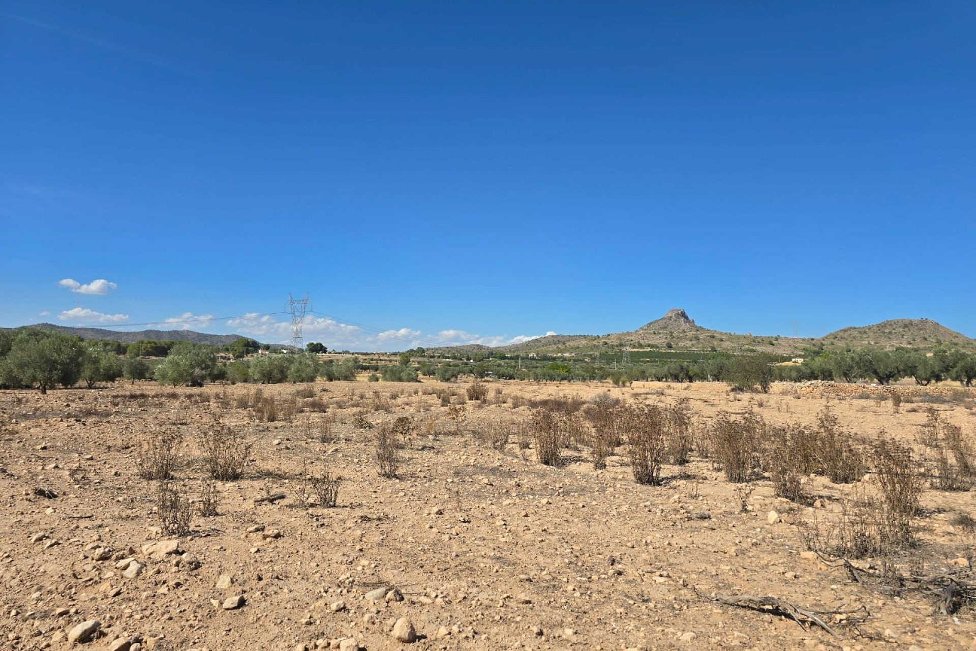 Revente - Terrain -
Salinas