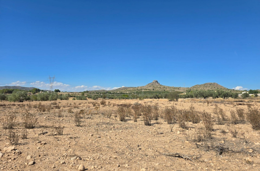 Revente - Terrain -
Salinas