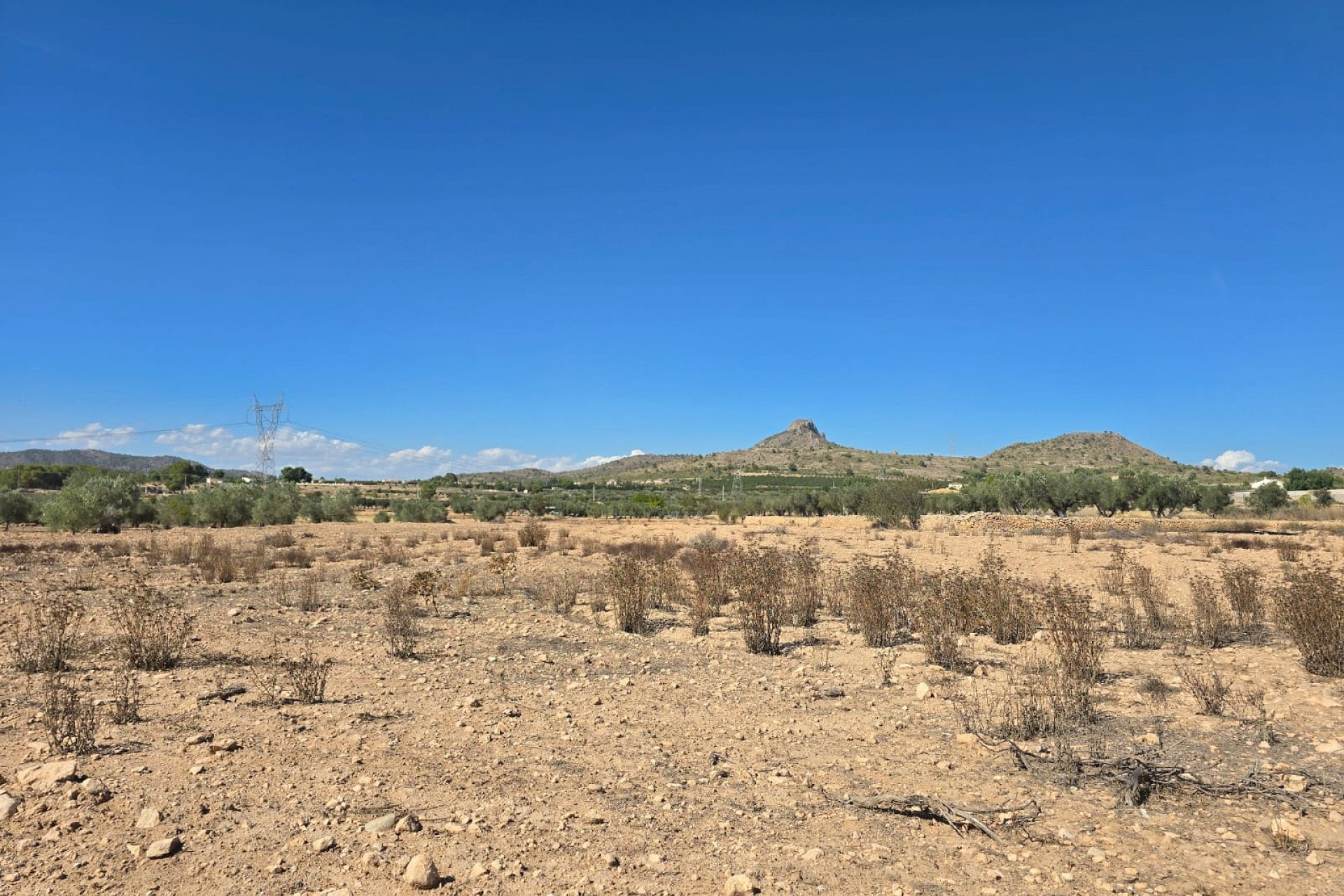 Revente - Terrain -
Salinas