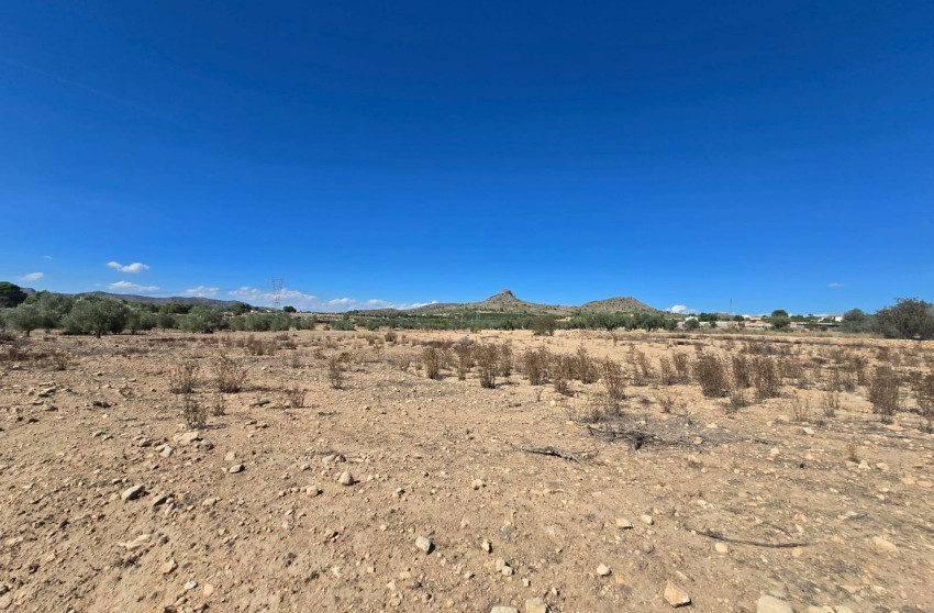 Revente - Terrain -
Salinas