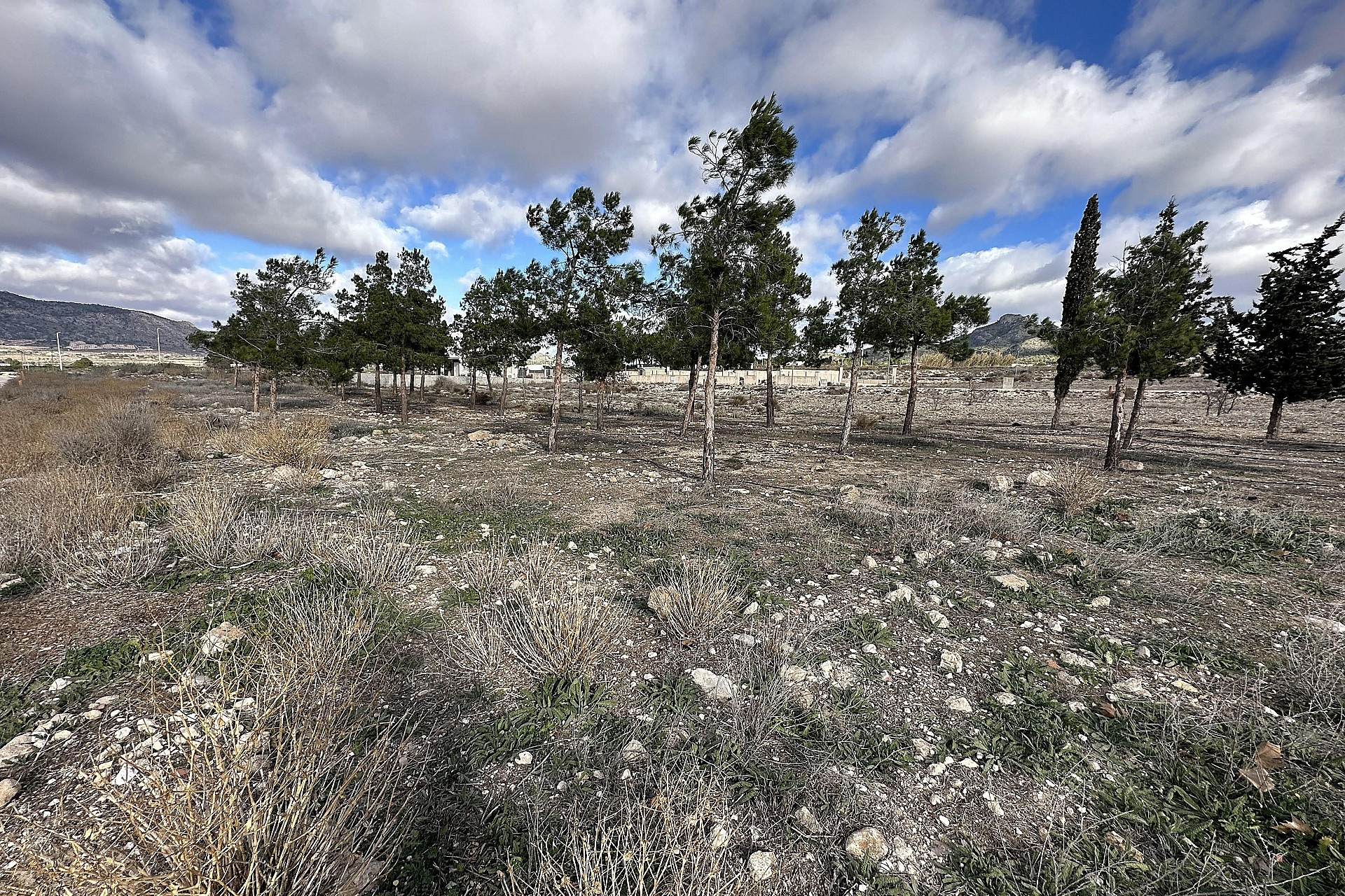 Revente - Terrain -
Salinas