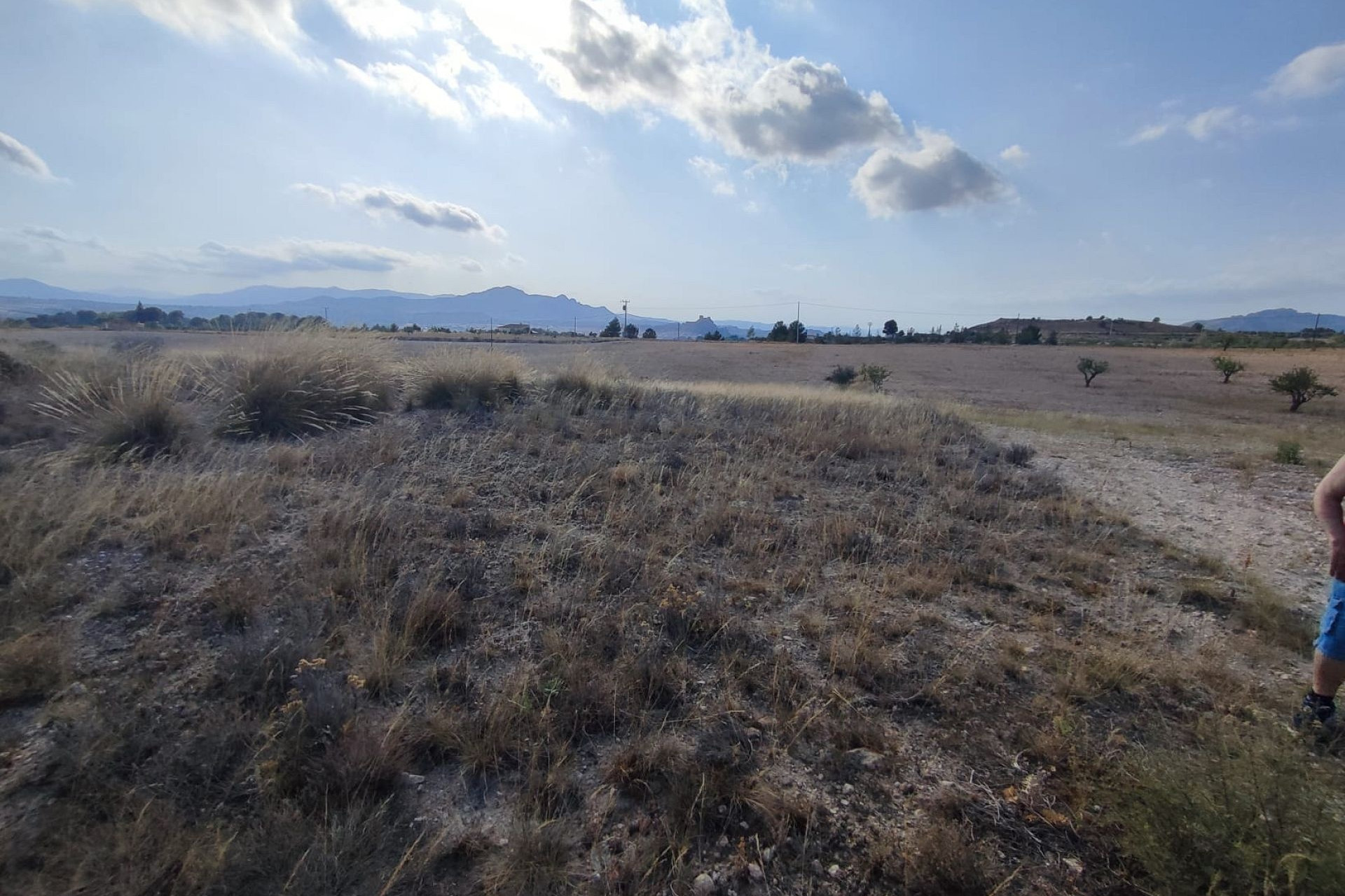 Revente - Terrain -
Sax