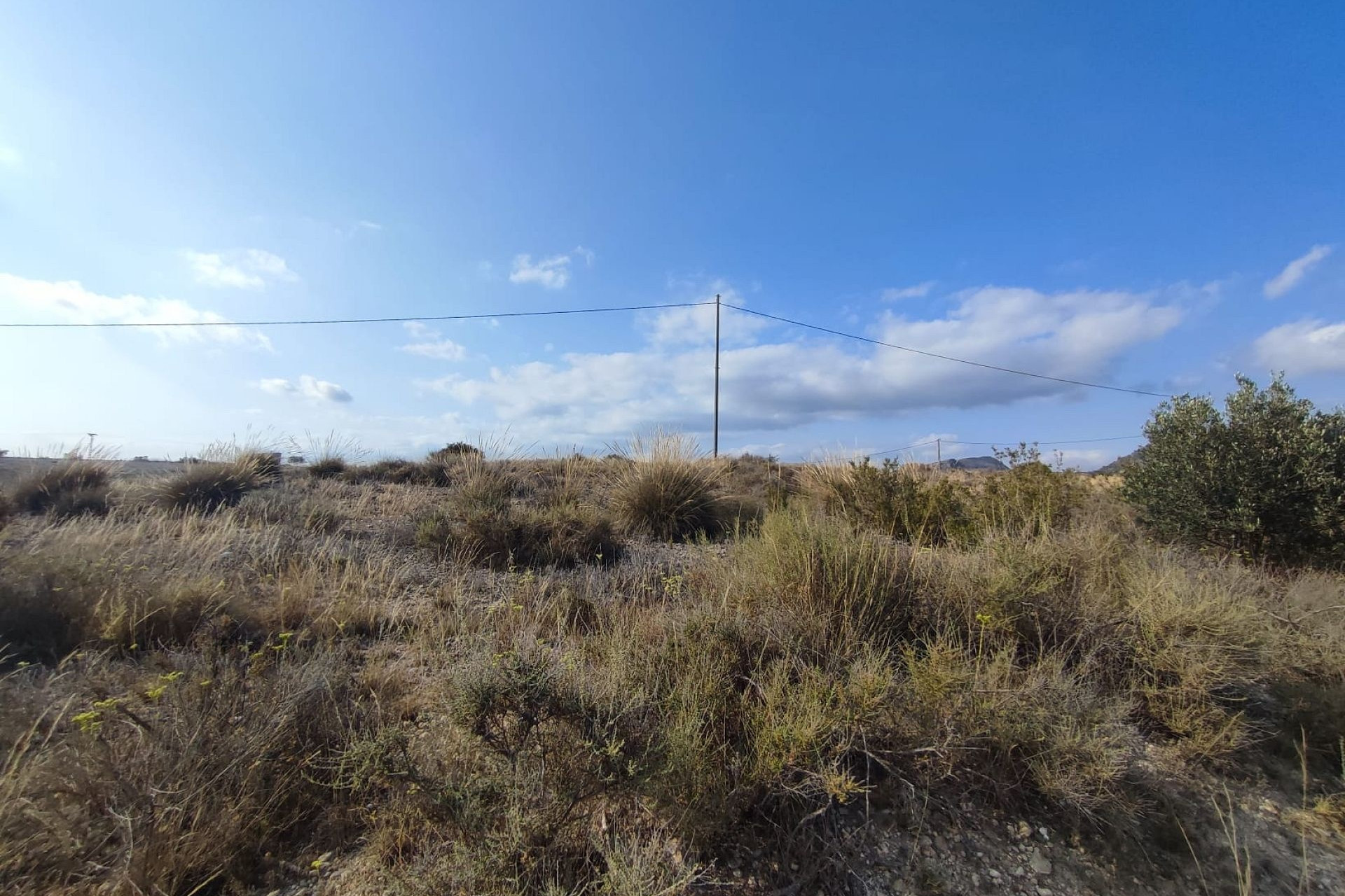 Revente - Terrain -
Sax