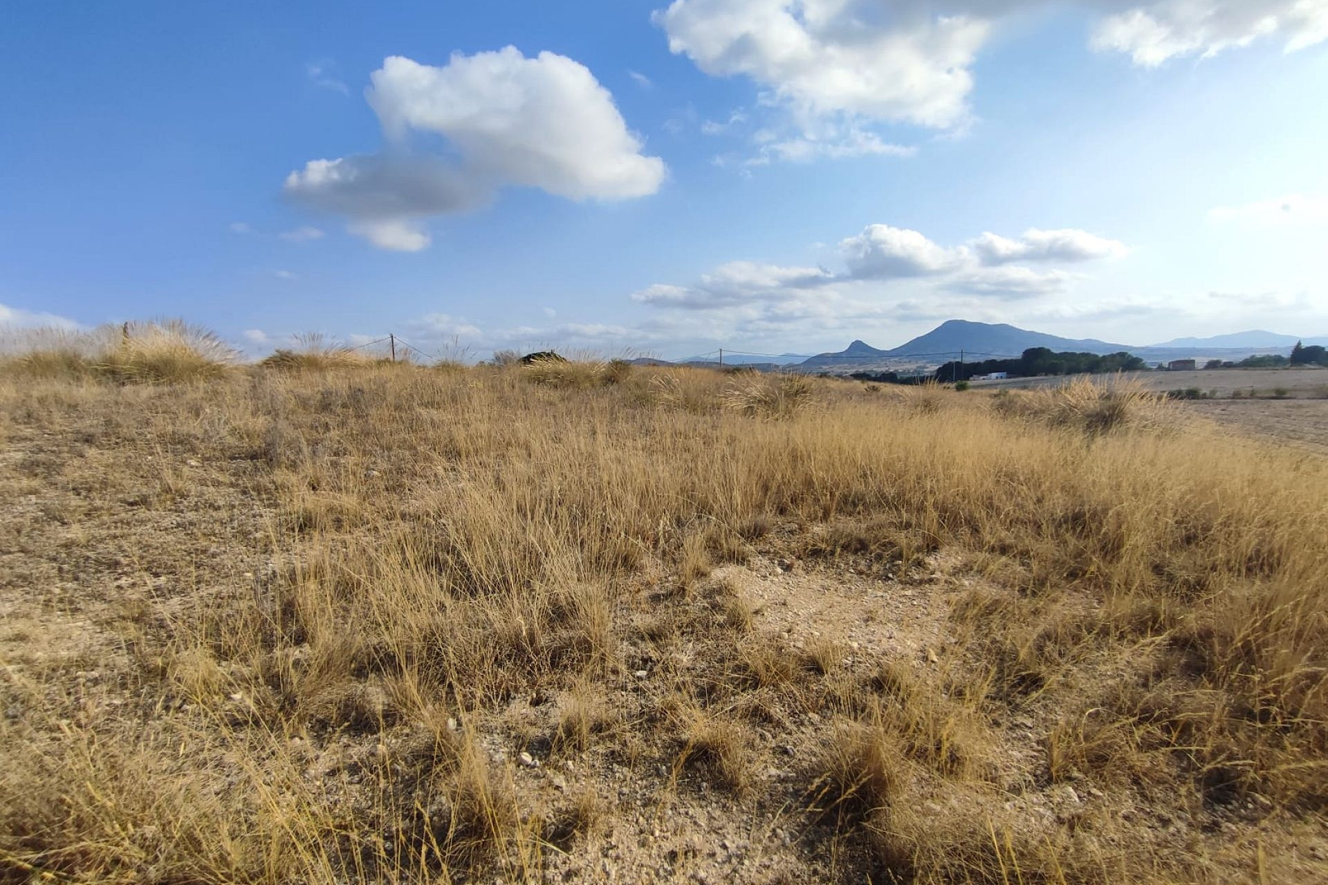 Revente - Terrain -
Sax