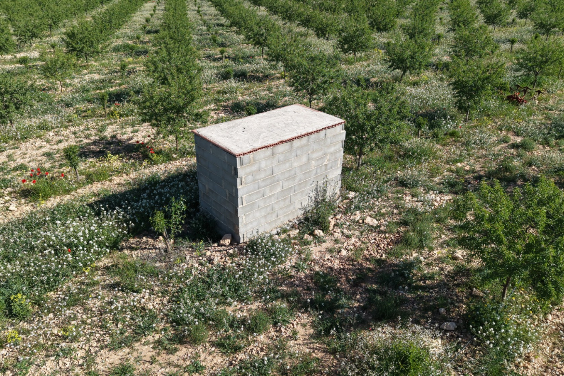 Revente - Terrain -
Yecla - Yecla Murcia