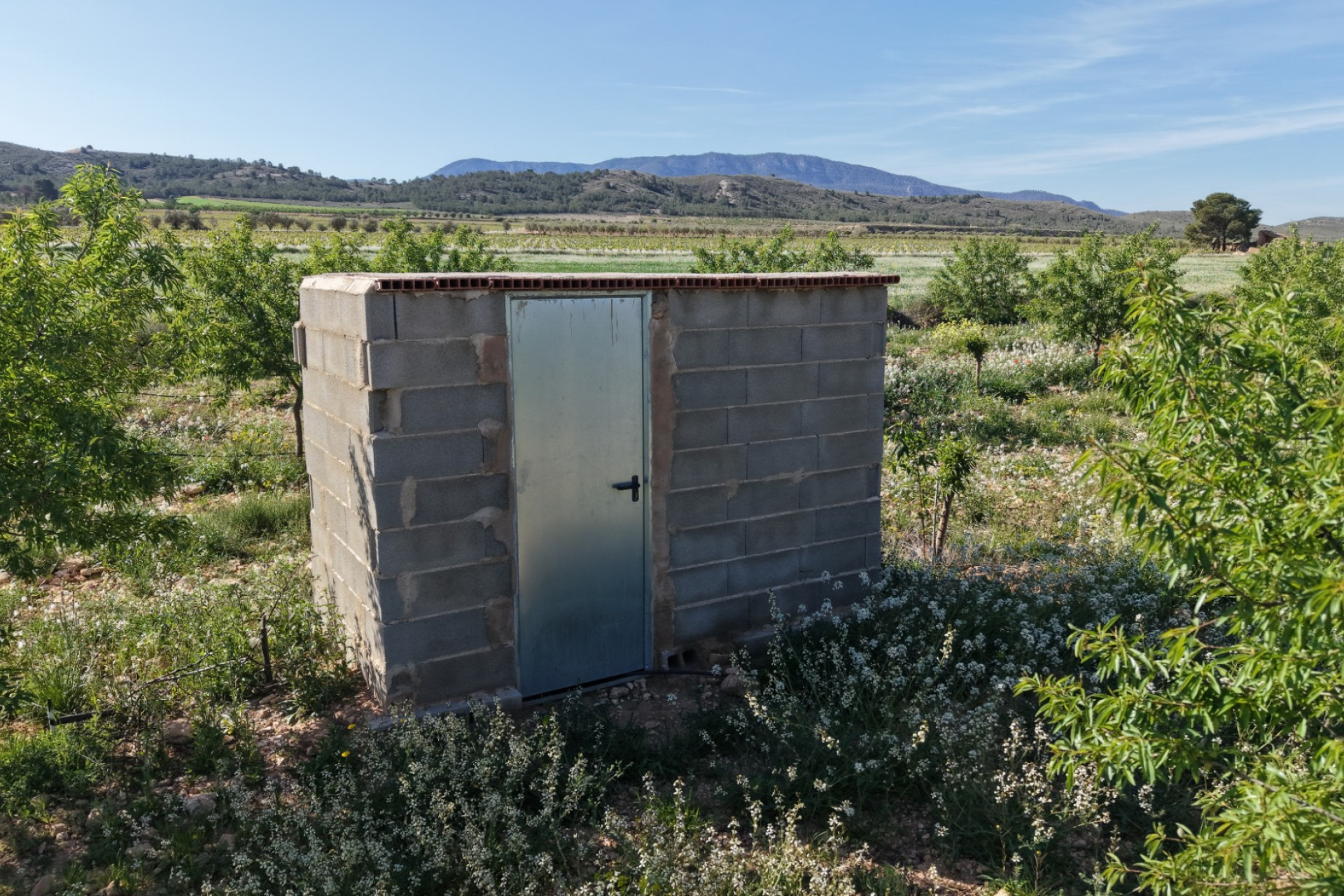 Revente - Terrain -
Yecla - Yecla Murcia