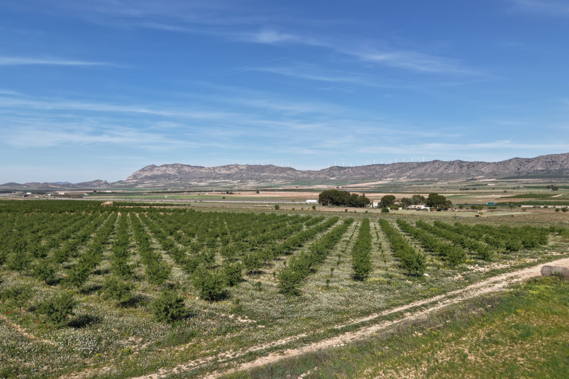 Revente - Terrain -
Yecla - Yecla Murcia