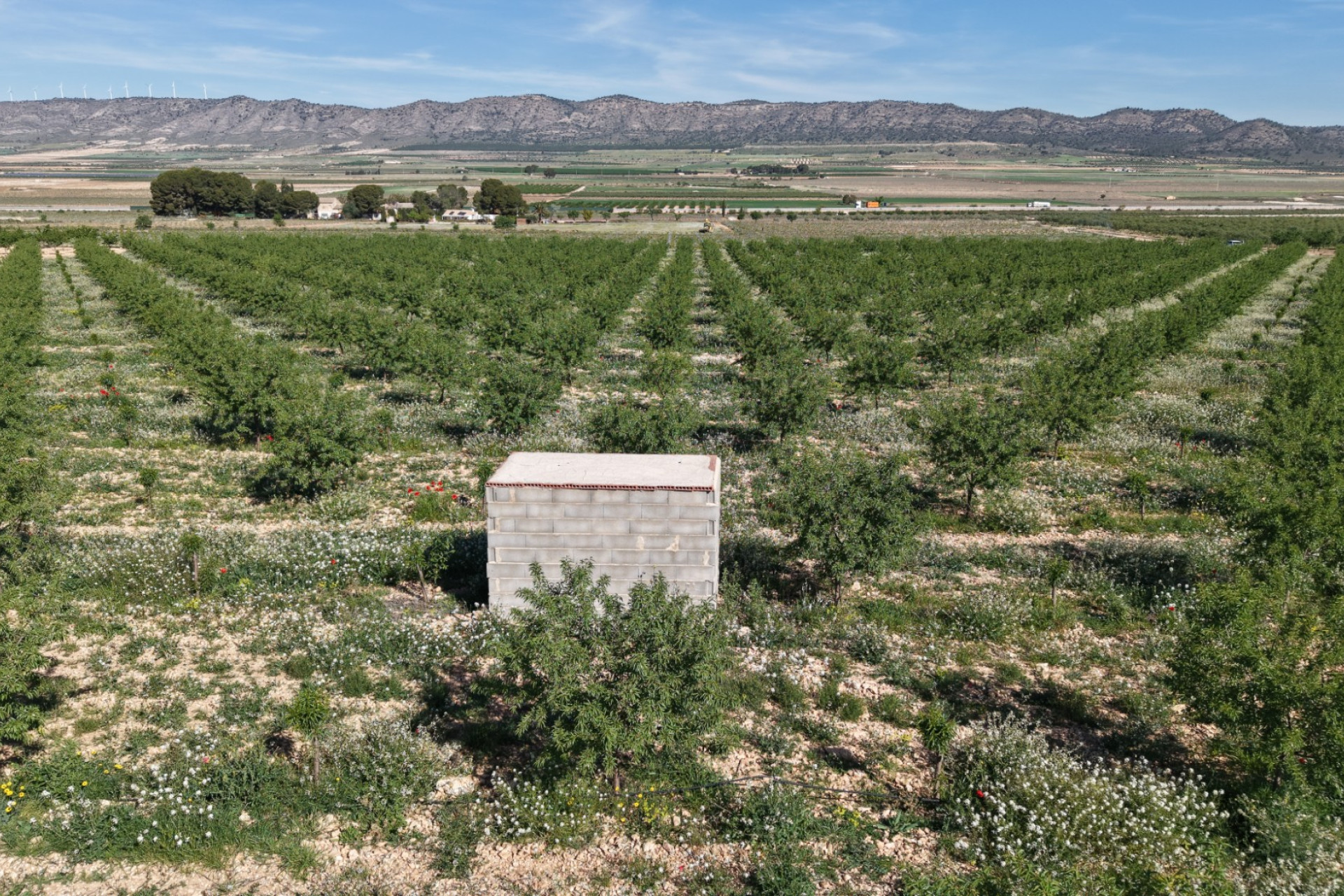 Revente - Terrain -
Yecla - Yecla Murcia