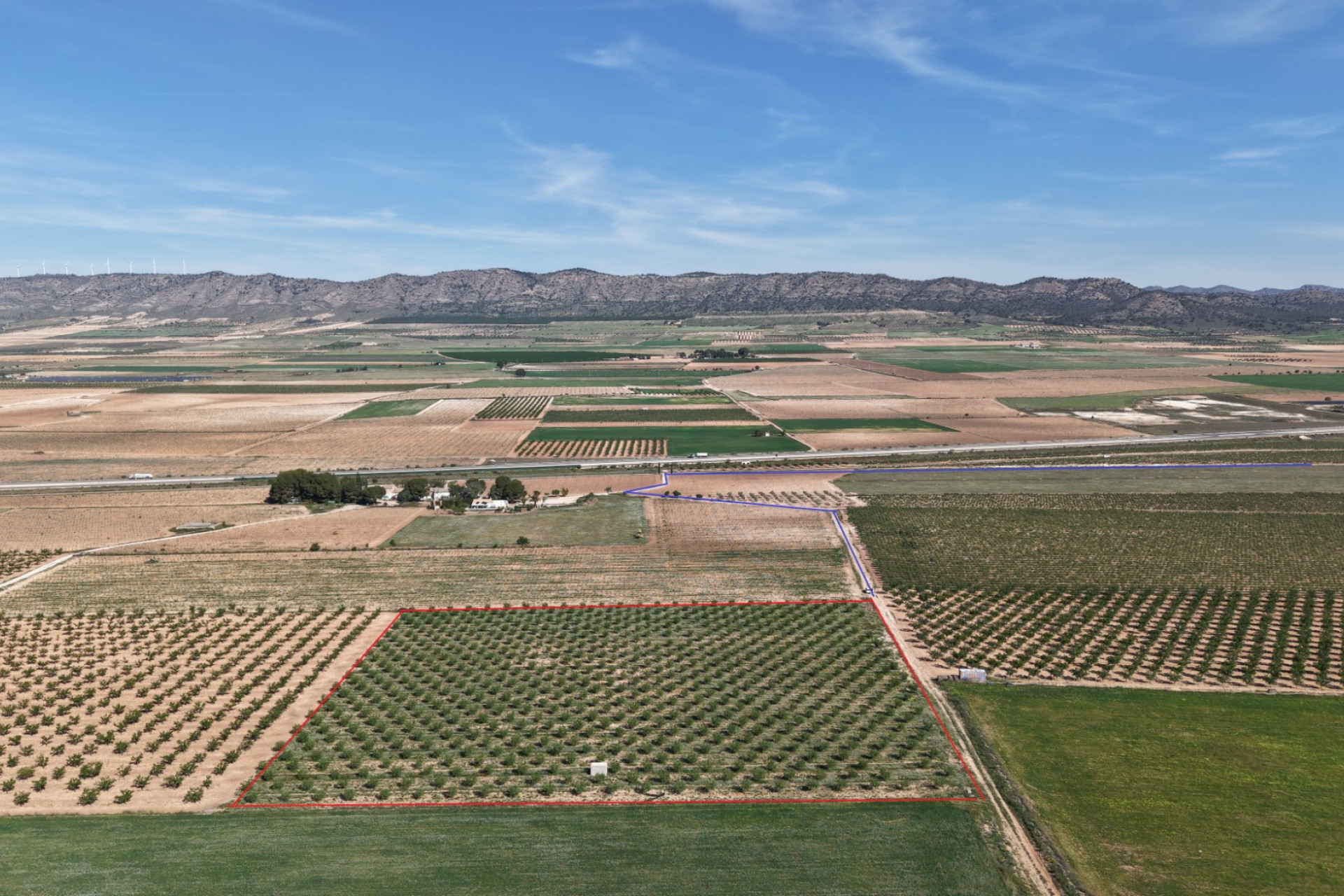 Revente - Terrain -
Yecla - Yecla Murcia