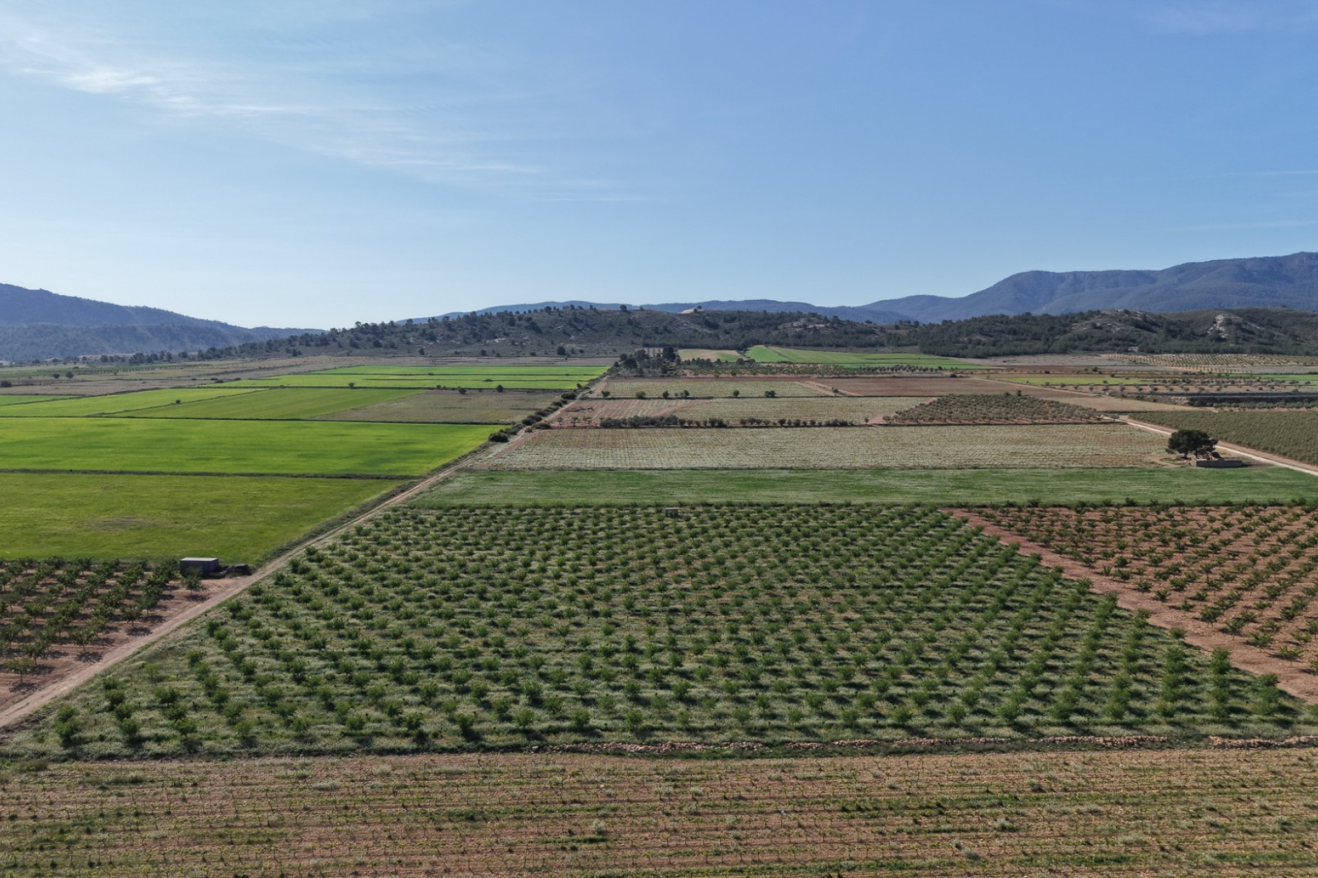 Revente - Terrain -
Yecla - Yecla Murcia