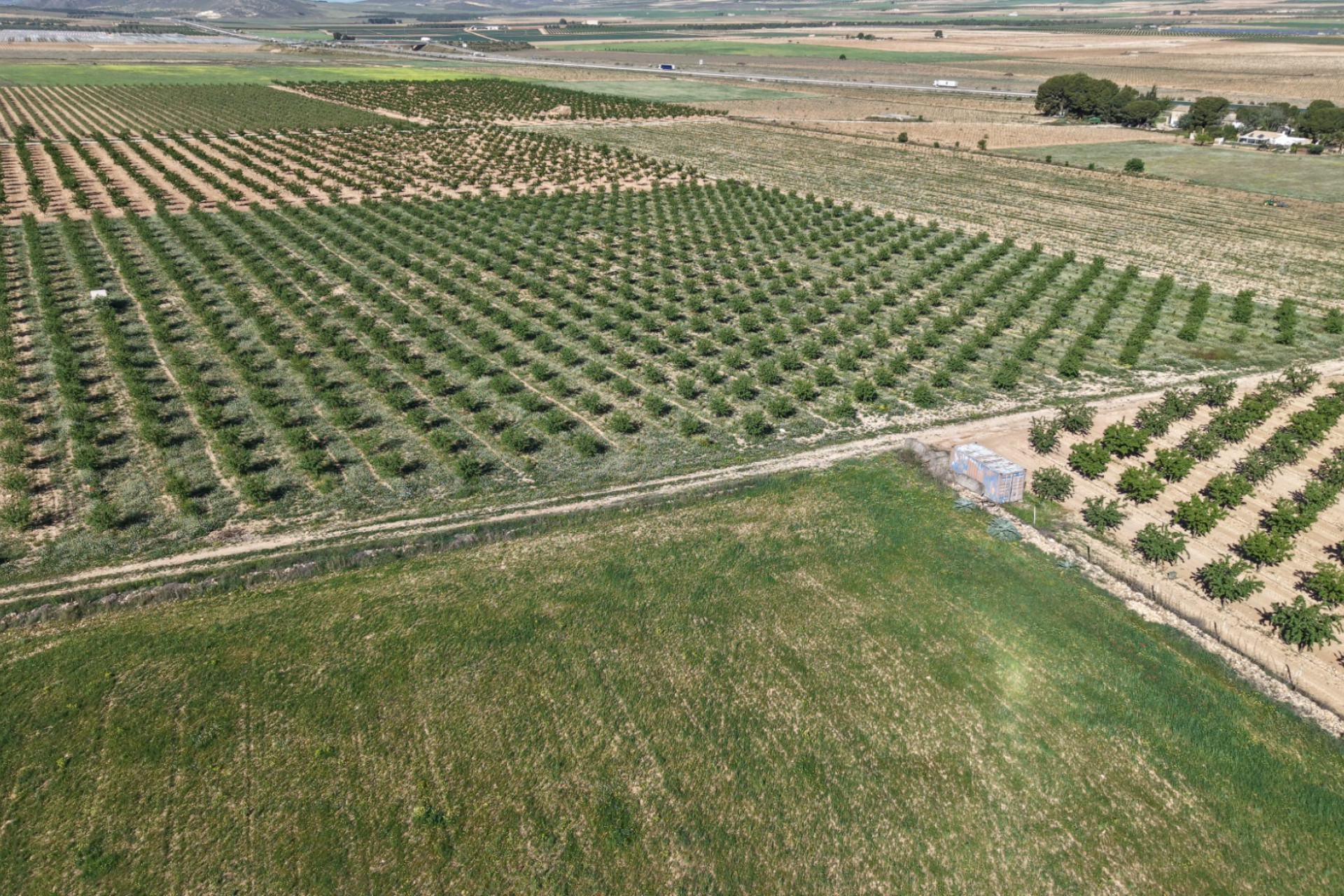 Revente - Terrain -
Yecla - Yecla Murcia