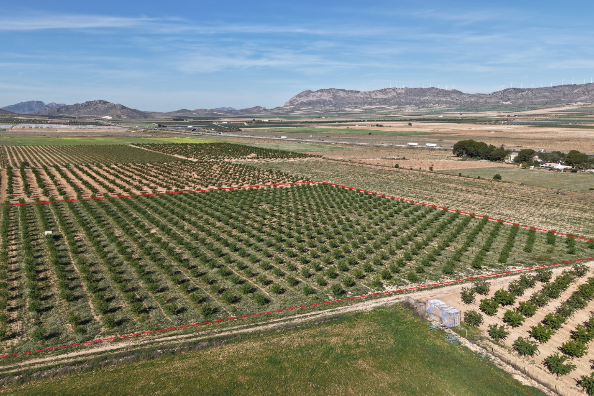 Revente - Terrain -
Yecla - Yecla Murcia