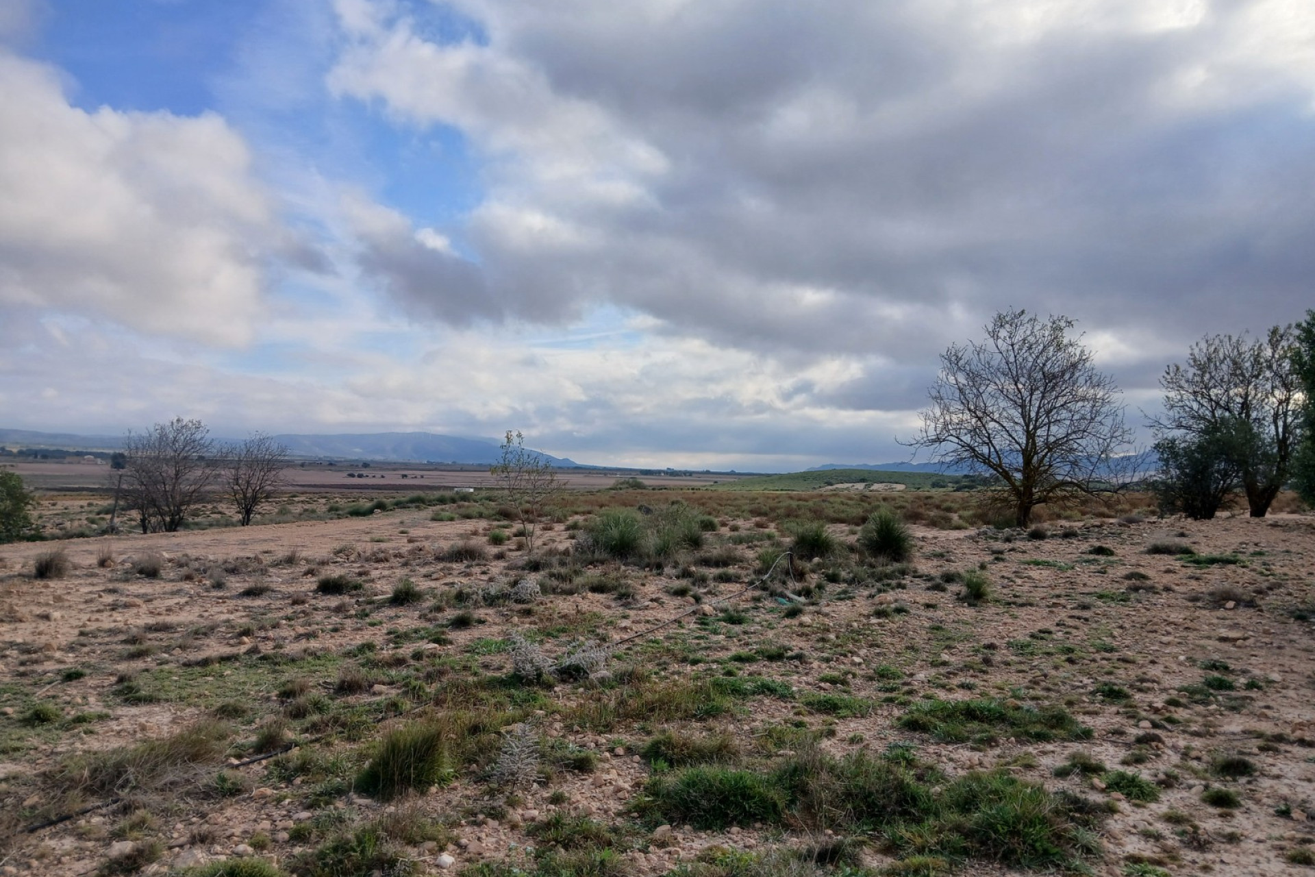 Revente - Terrain -
Yecla