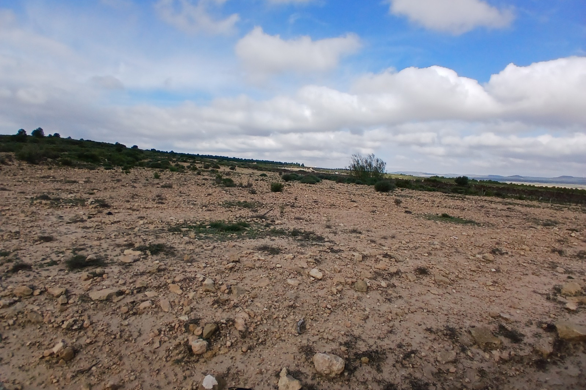 Revente - Terrain -
Yecla