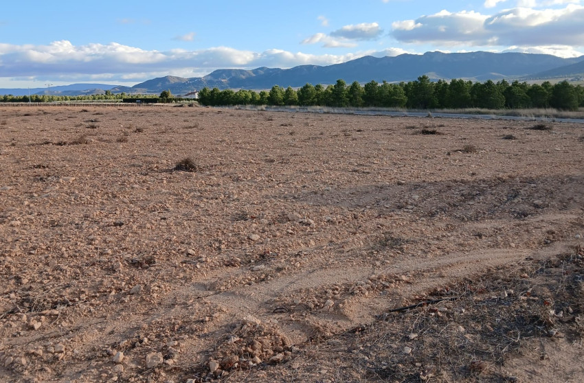 Revente - Terrain -
Yecla