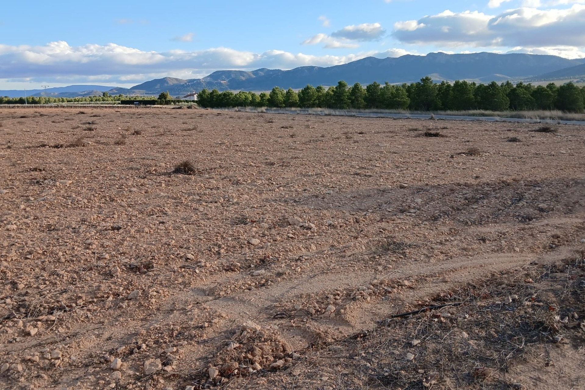 Revente - Terrain -
Yecla