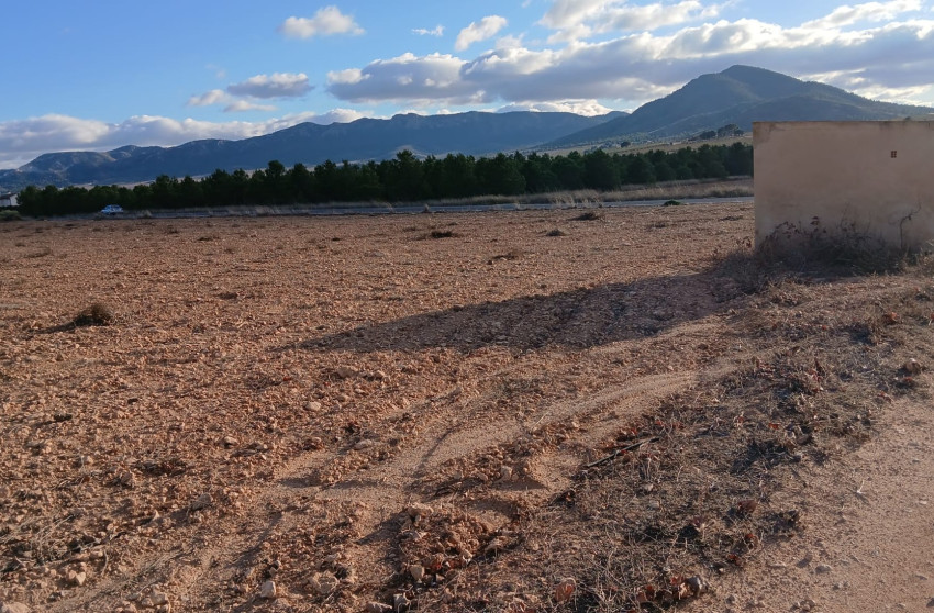 Revente - Terrain -
Yecla