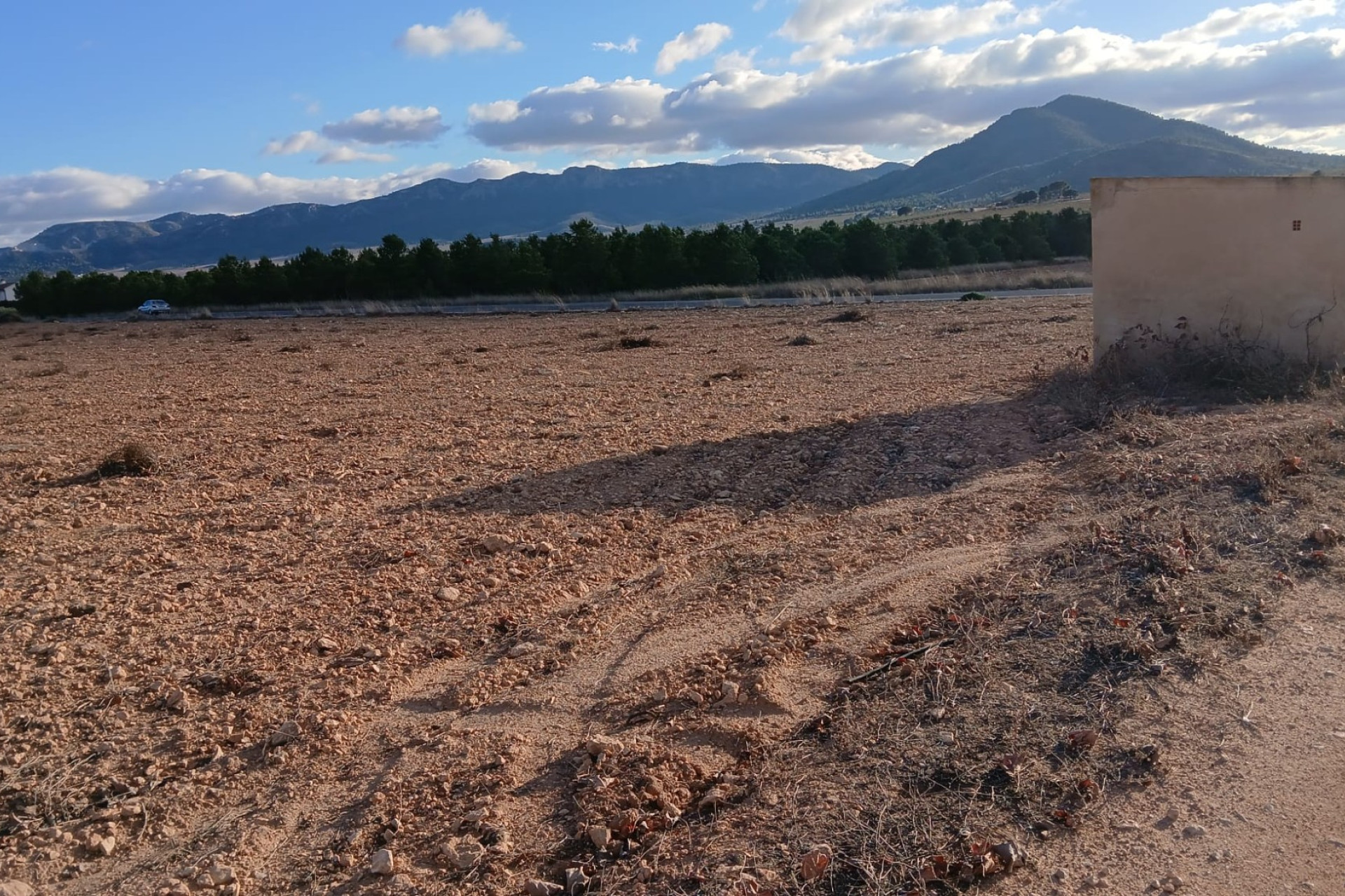 Revente - Terrain -
Yecla