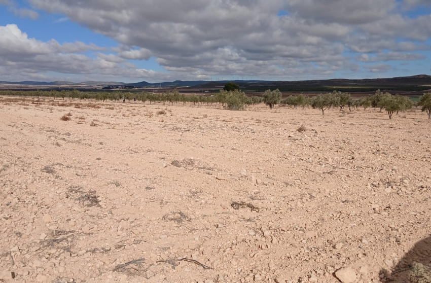 Revente - Terrain -
Yecla