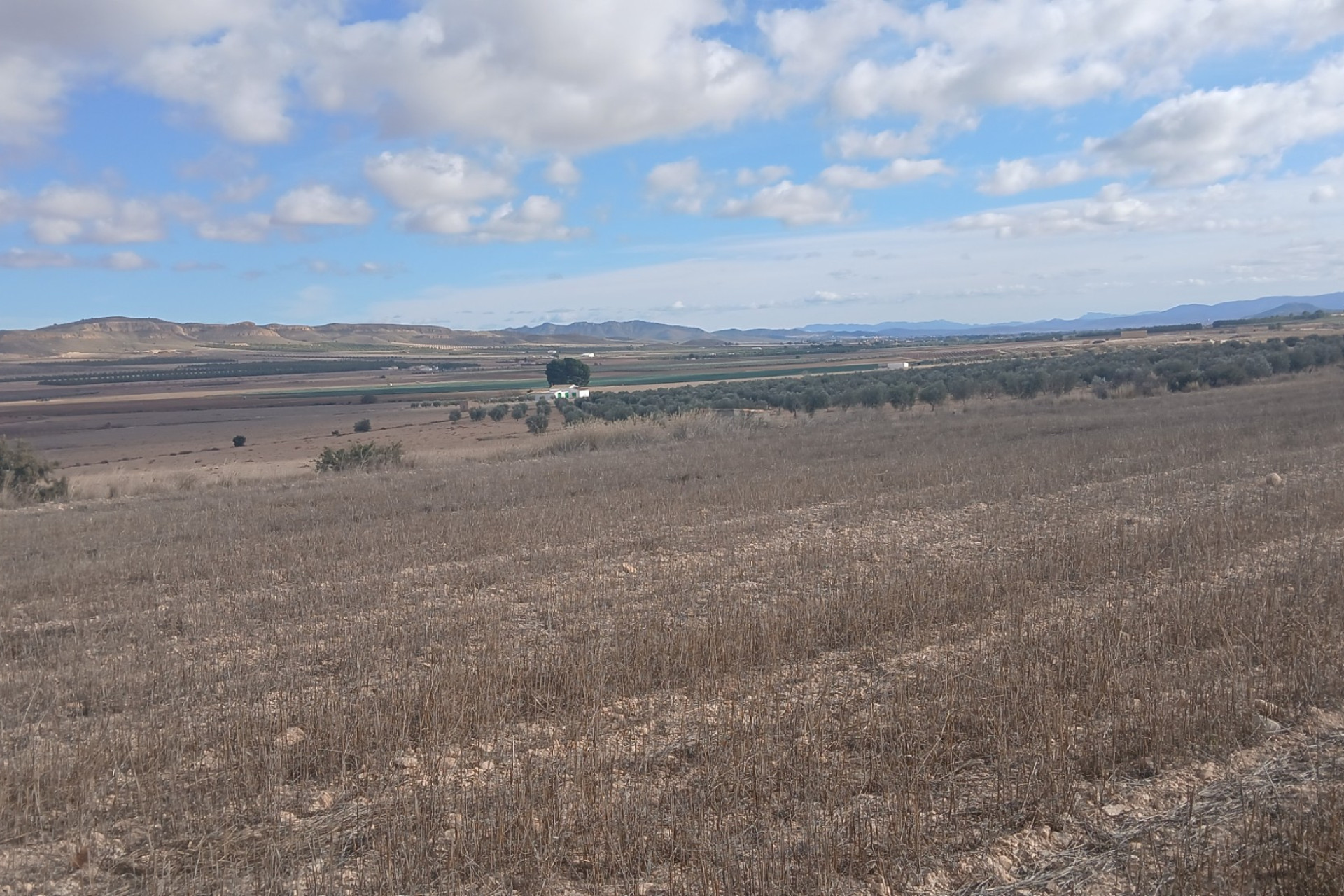 Revente - Terrain -
Yecla