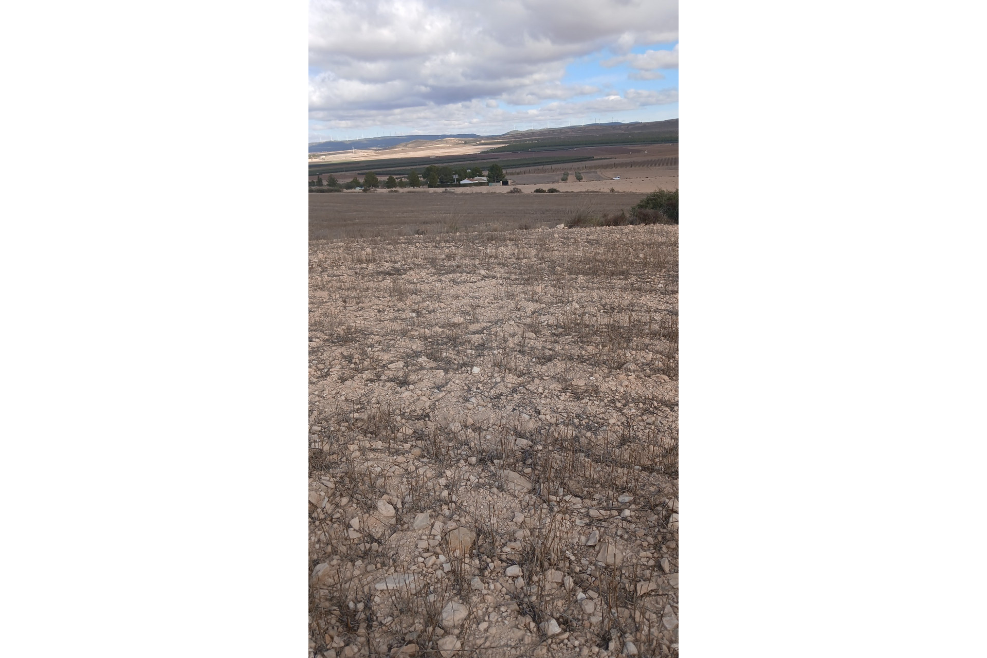 Revente - Terrain -
Yecla