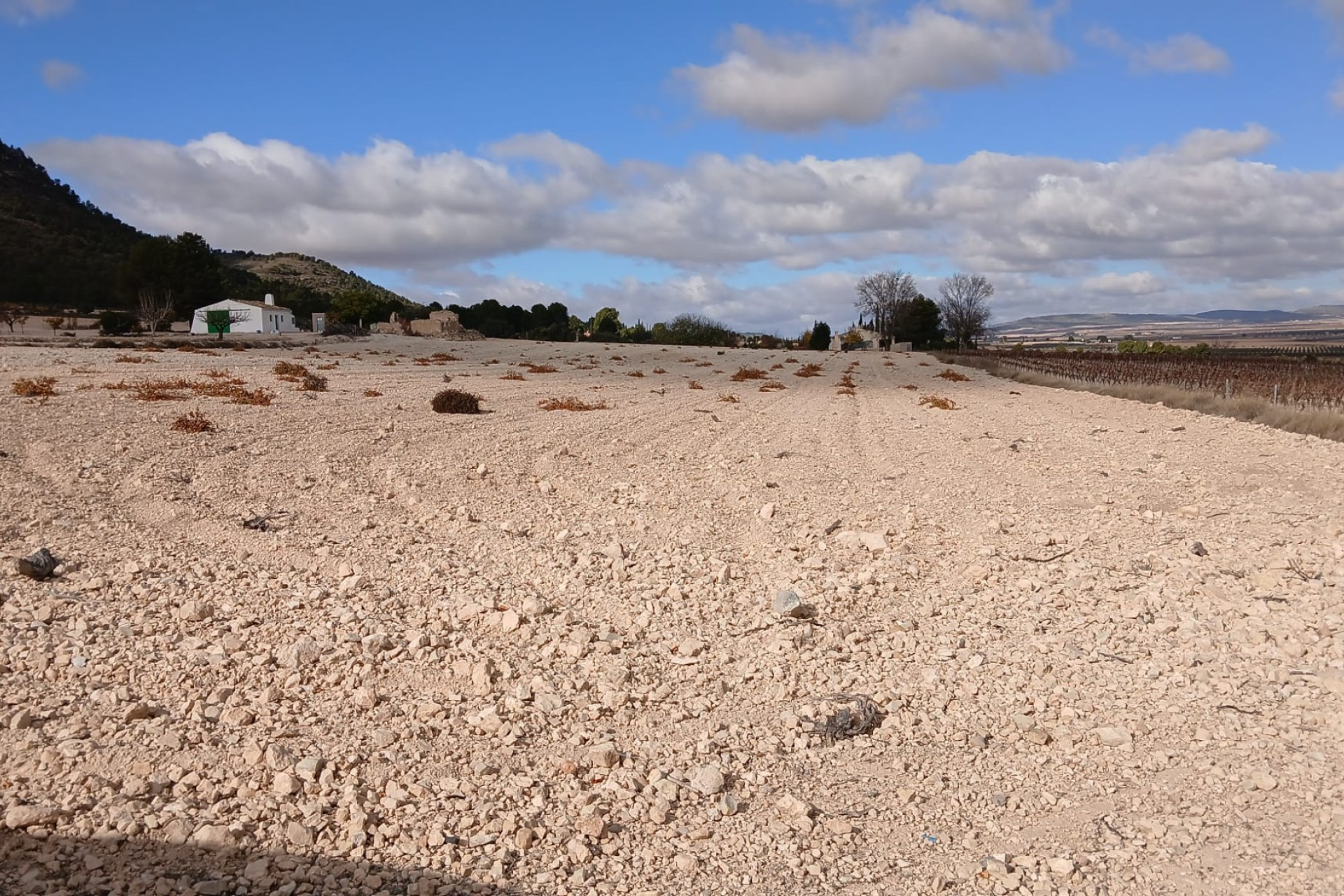 Revente - Terrain -
Yecla