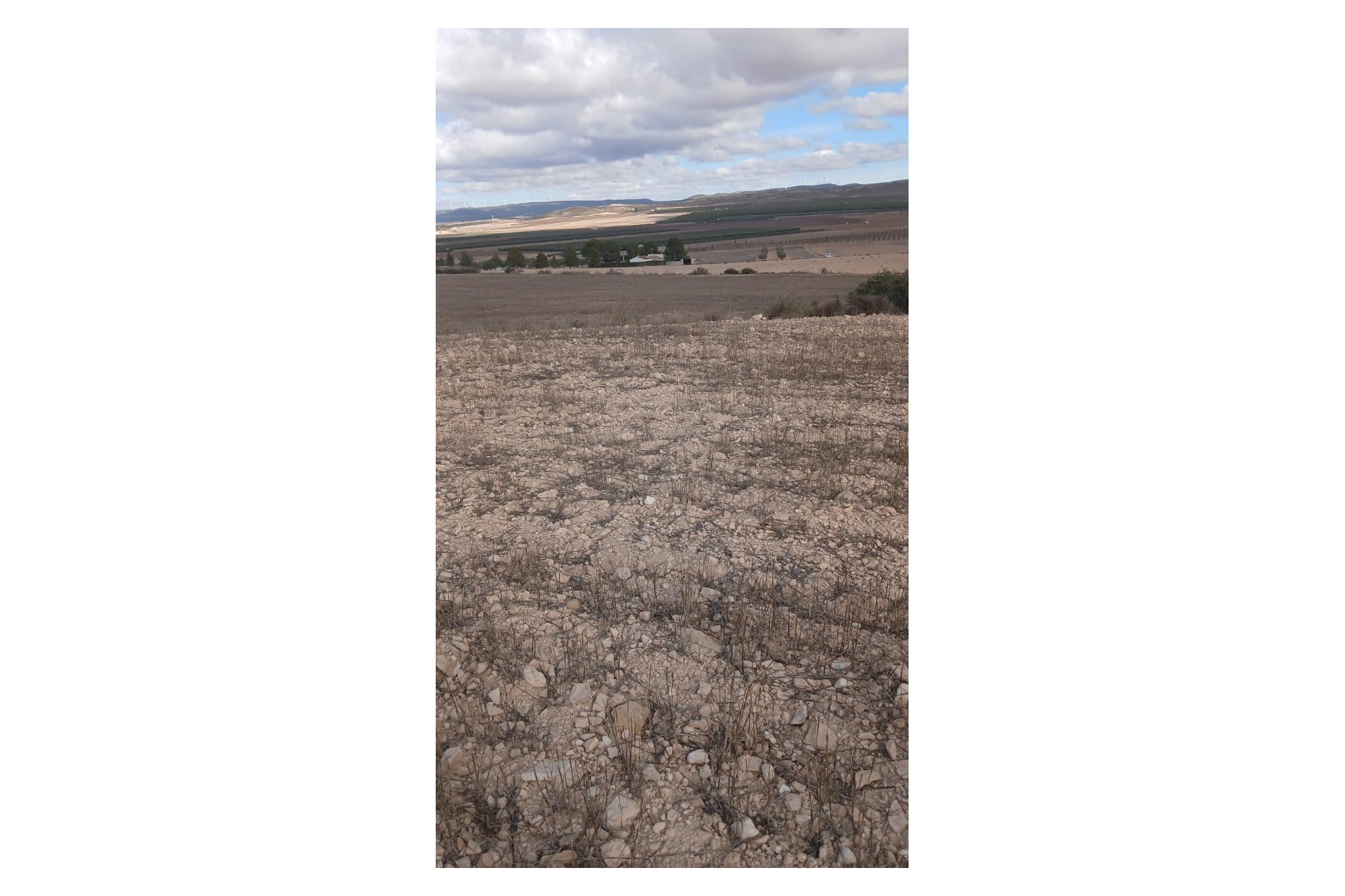 Revente - Terrain -
Yecla