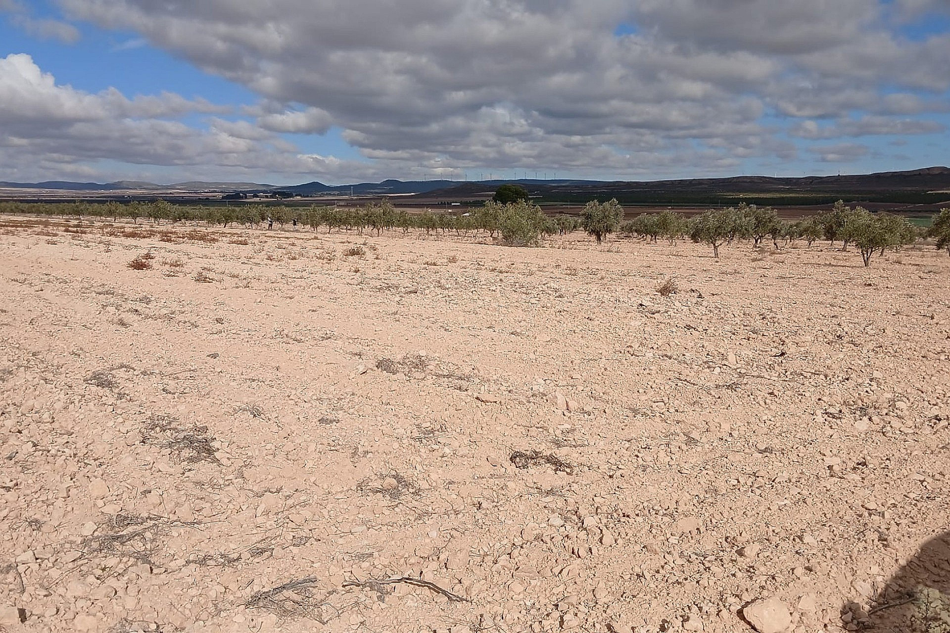 Revente - Terrain -
Yecla