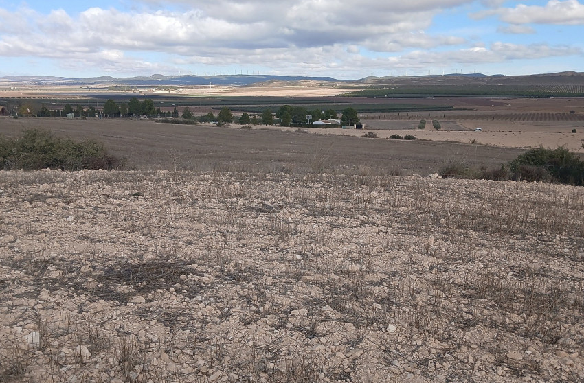 Revente - Terrain -
Yecla