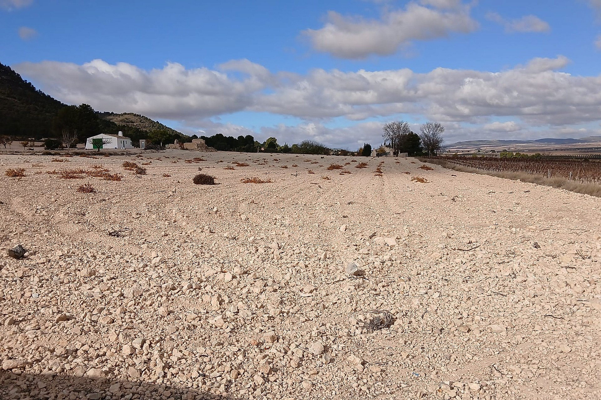 Revente - Terrain -
Yecla