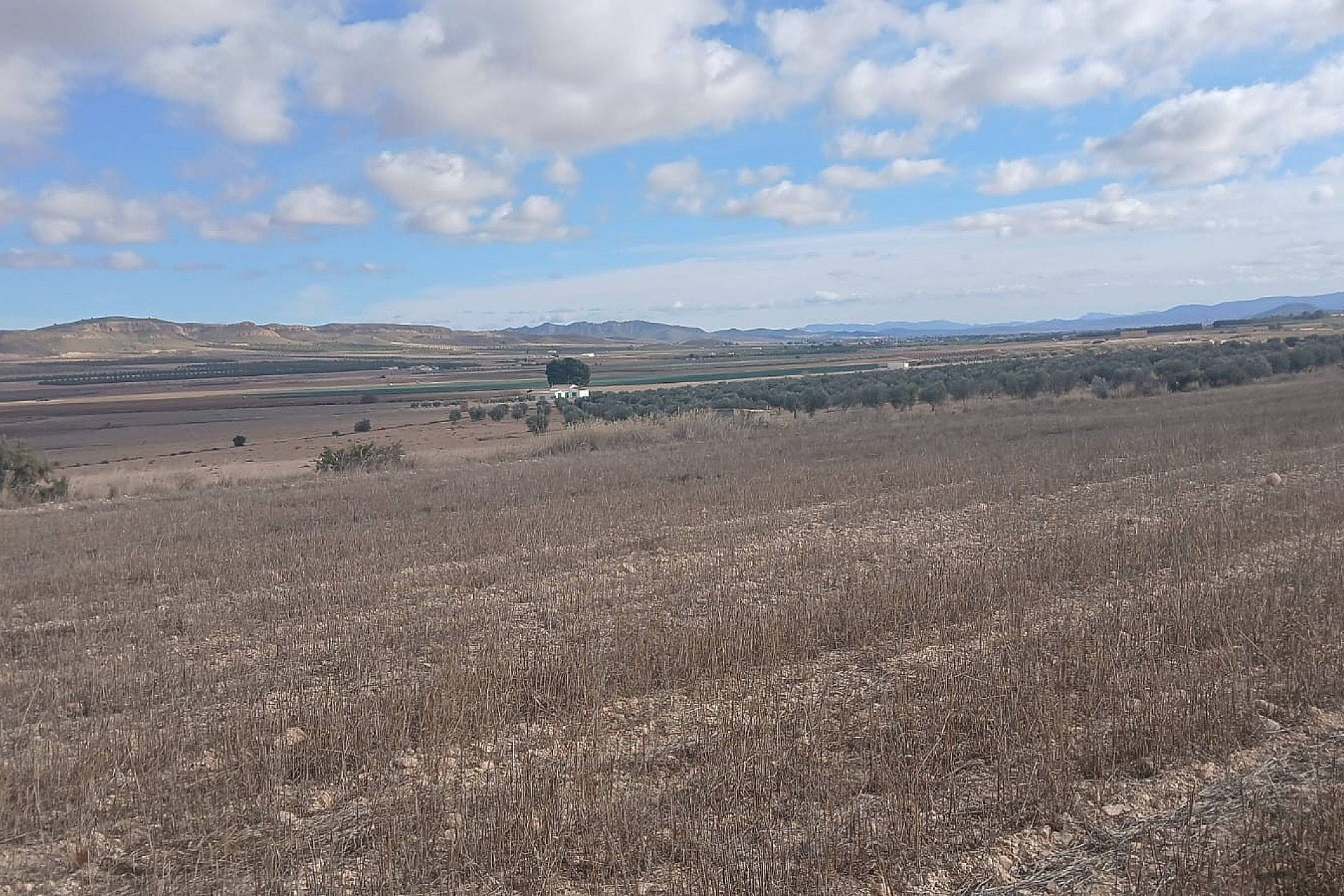 Revente - Terrain -
Yecla