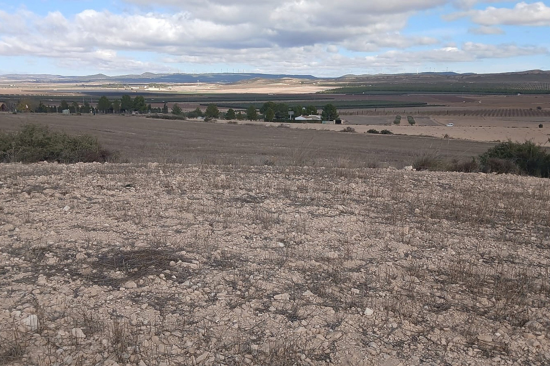 Revente - Terrain -
Yecla