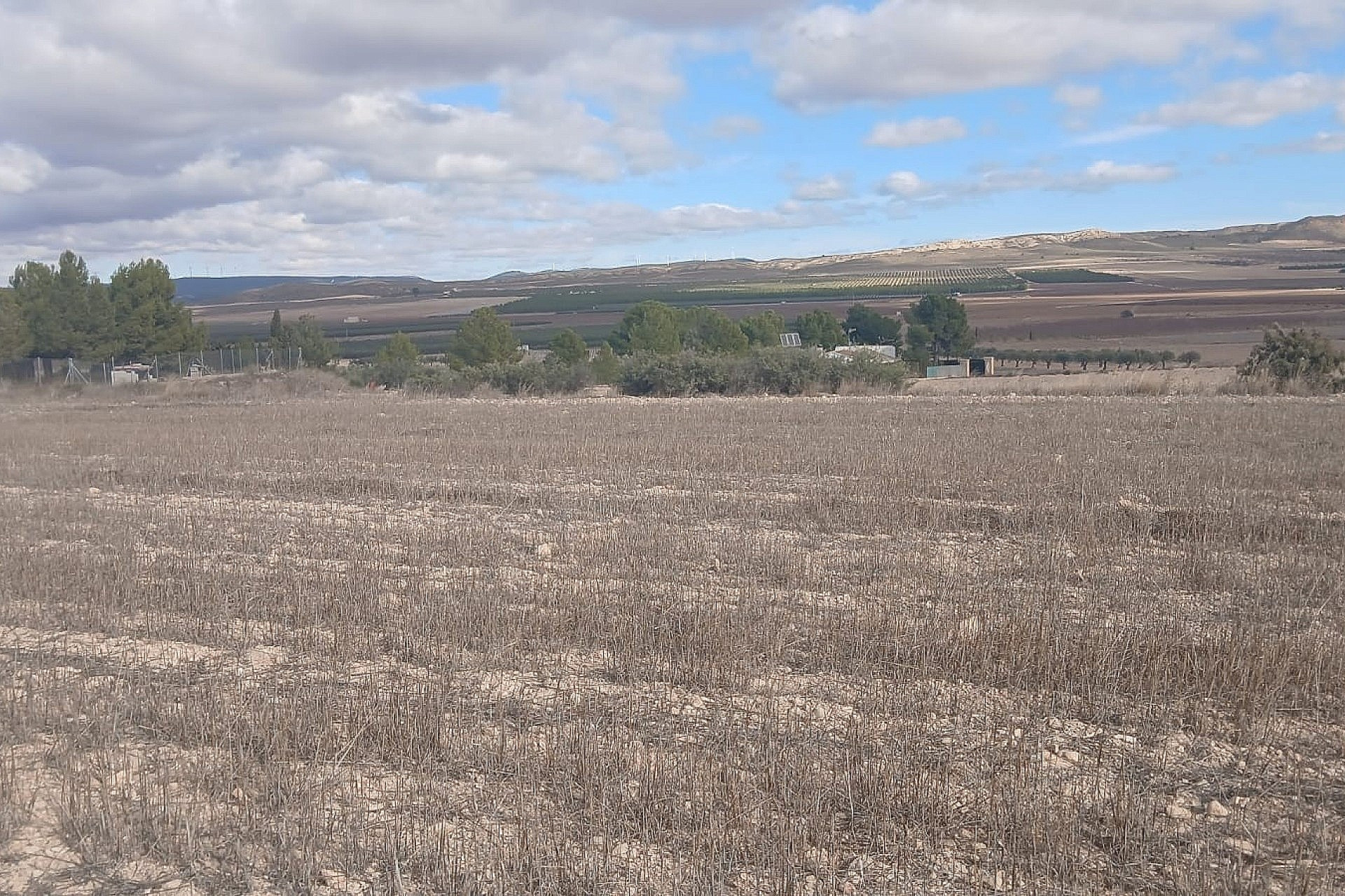 Revente - Terrain -
Yecla