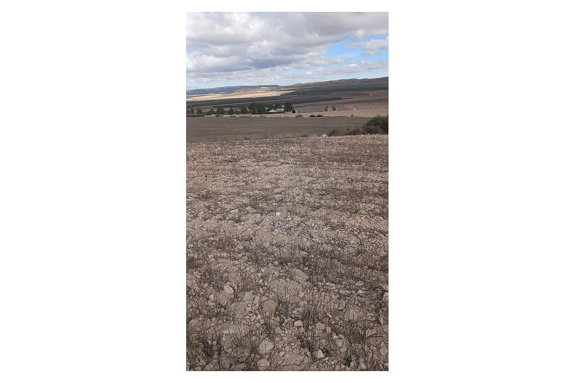 Revente - Terrain -
Yecla