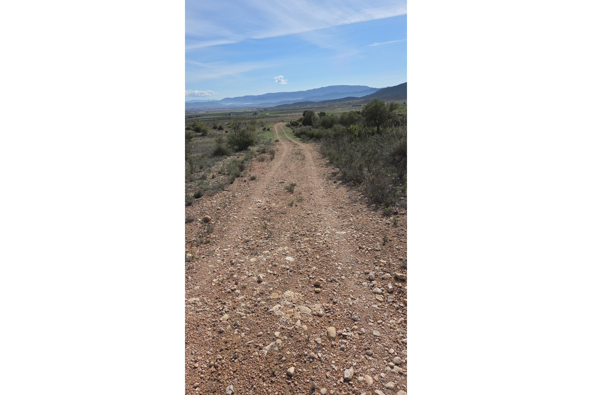 Revente - Terrain -
Yecla