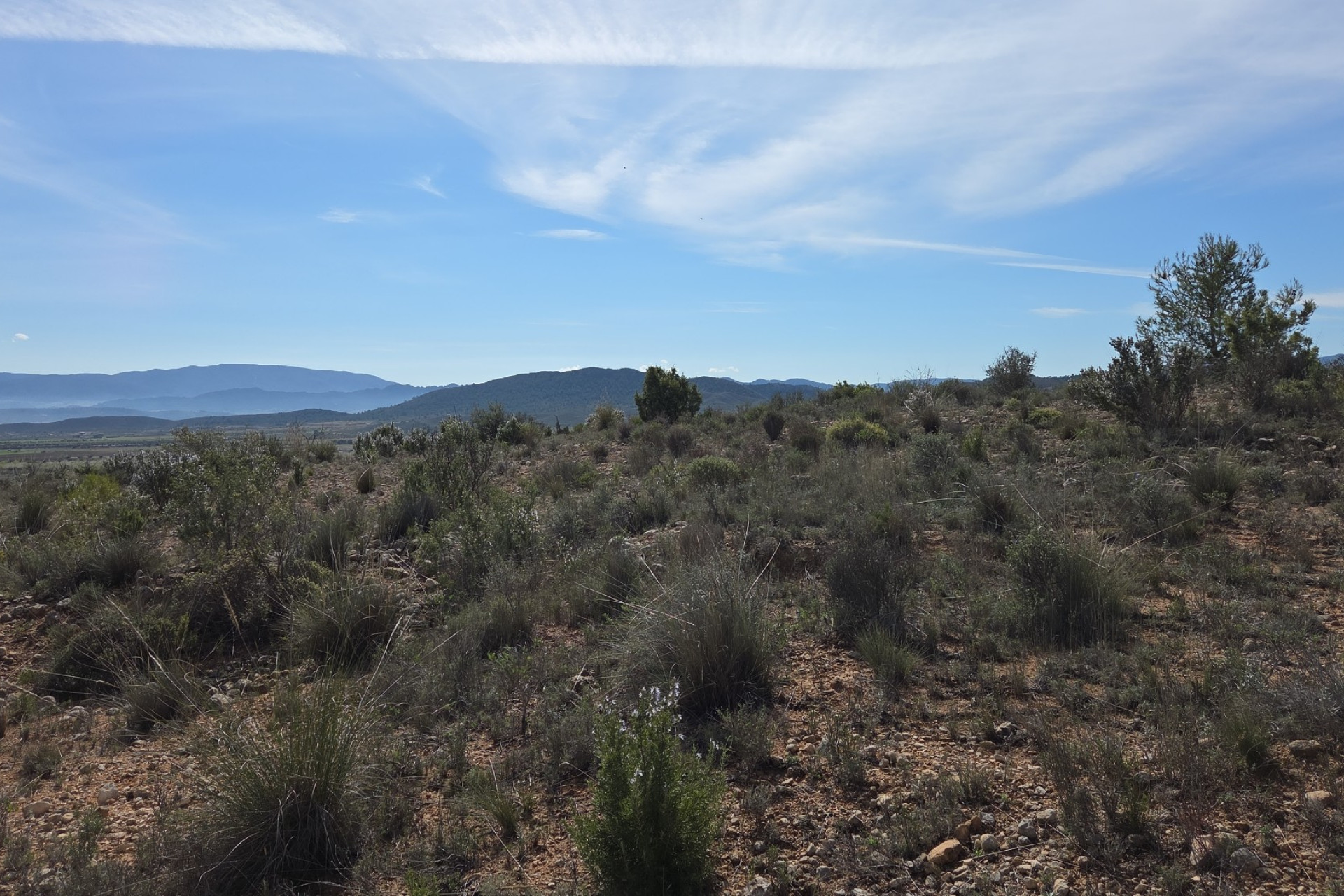 Revente - Terrain -
Yecla