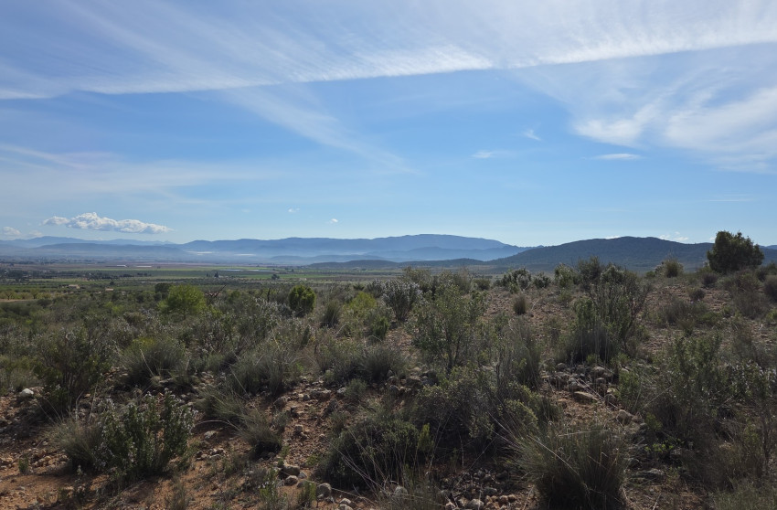 Revente - Terrain -
Yecla