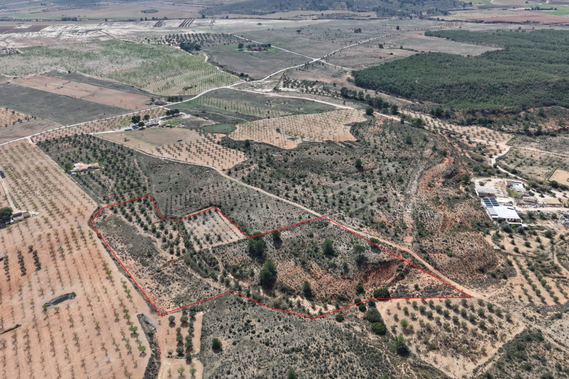 Revente - Terrain -
Yecla