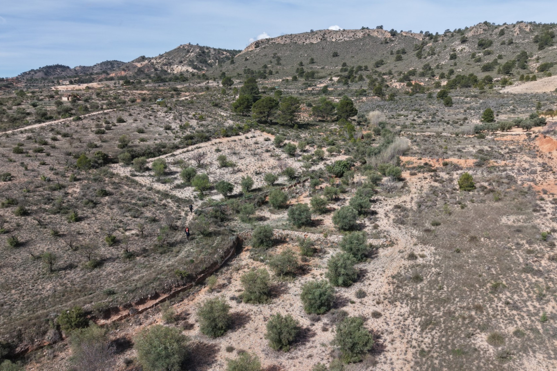 Revente - Terrain -
Yecla