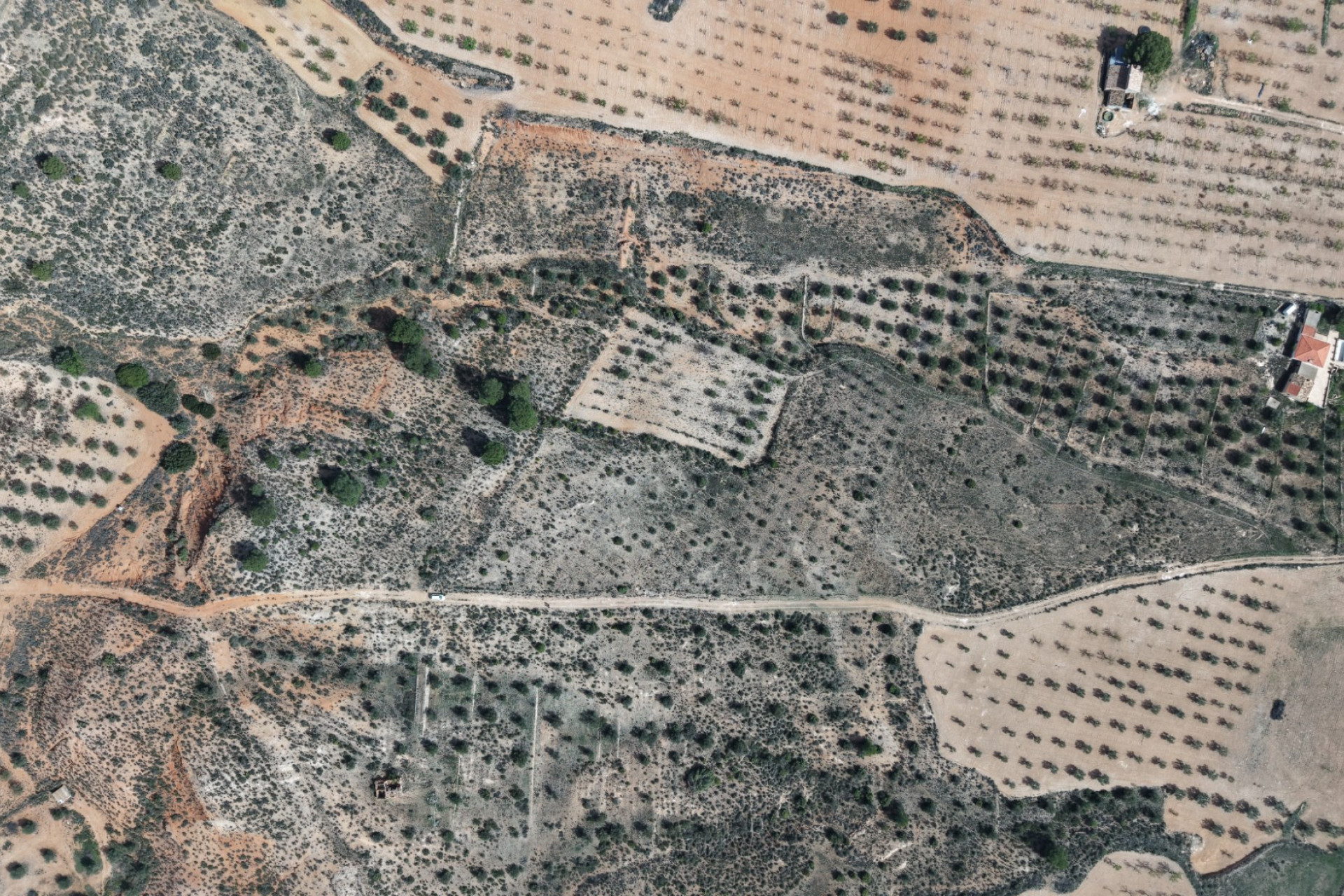 Revente - Terrain -
Yecla