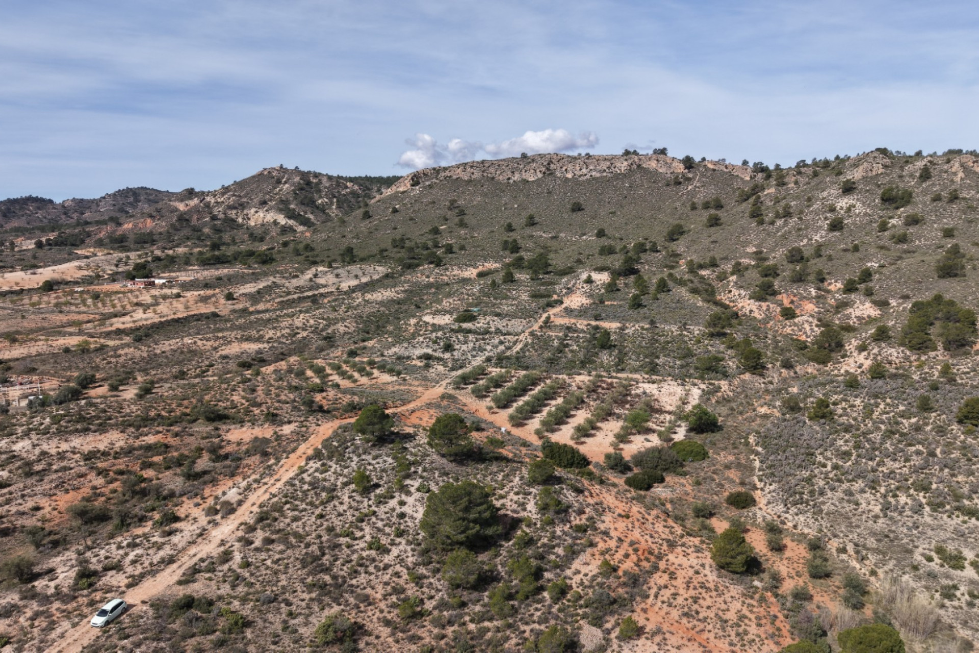 Revente - Terrain -
Yecla