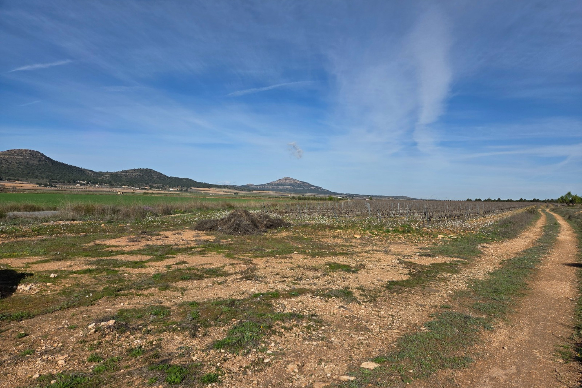 Revente - Terrain -
Yecla
