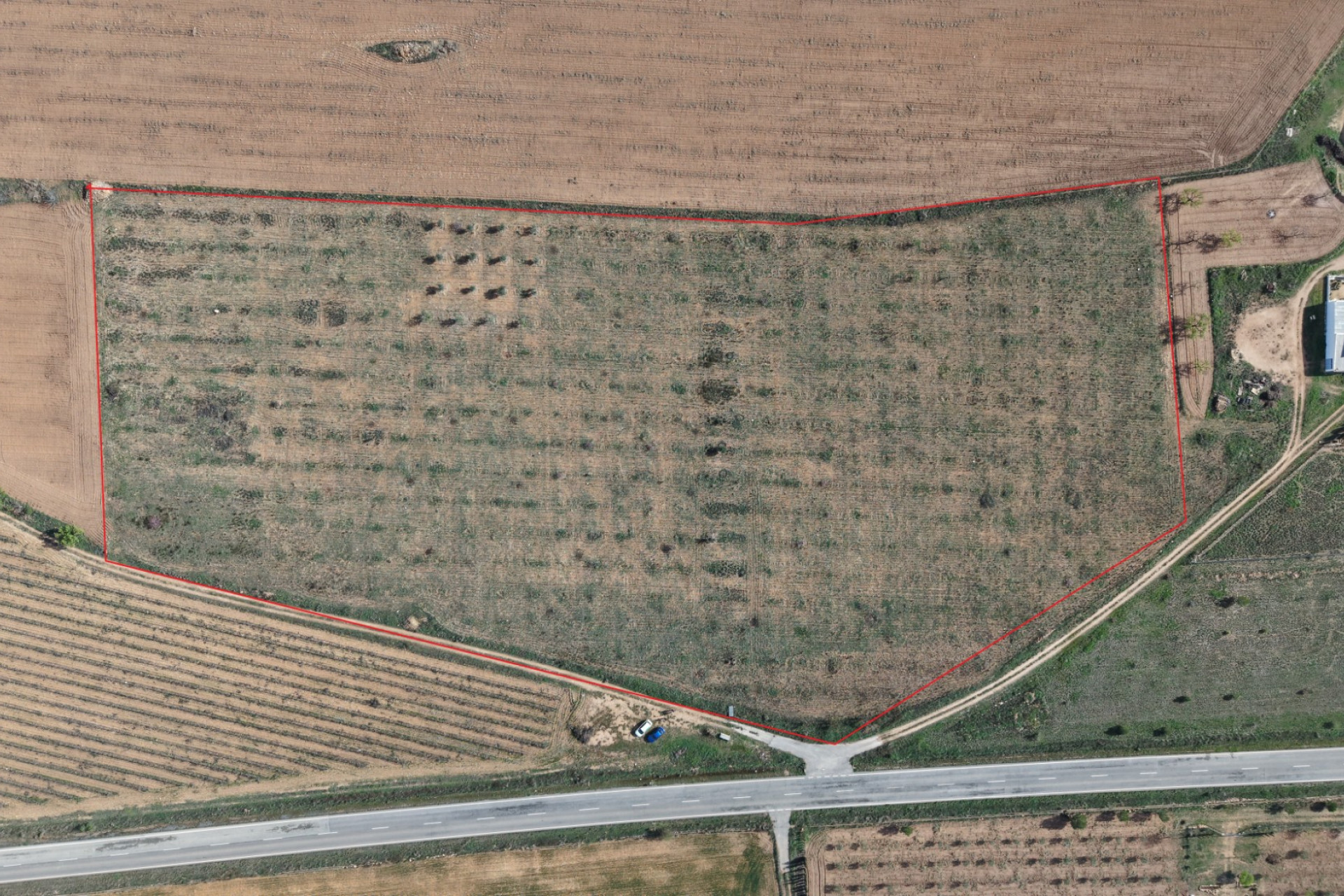 Revente - Terrain -
Yecla