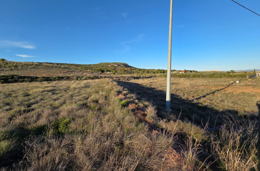 Revente - Terrain -
Yecla