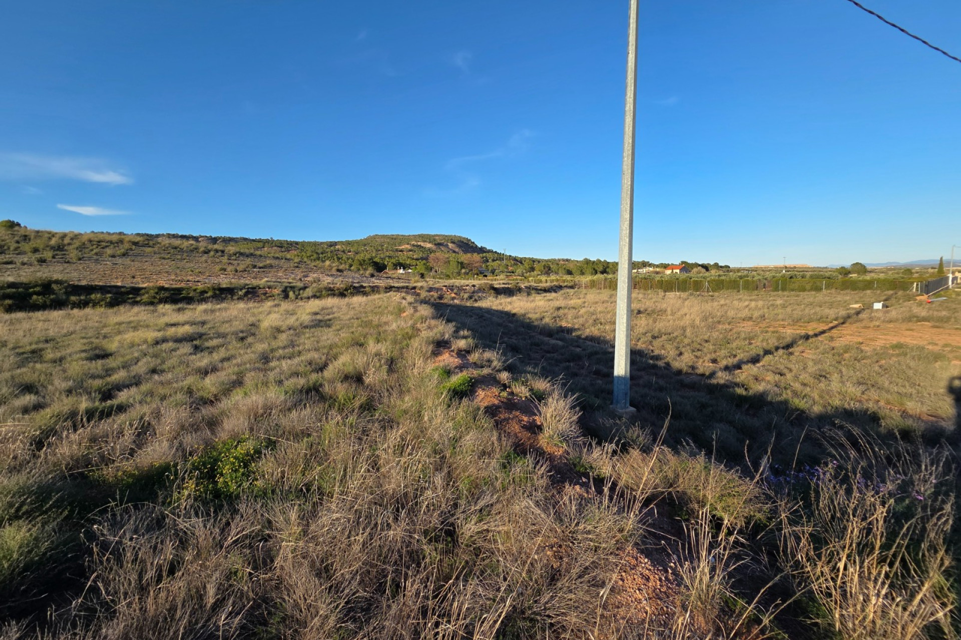 Revente - Terrain -
Yecla