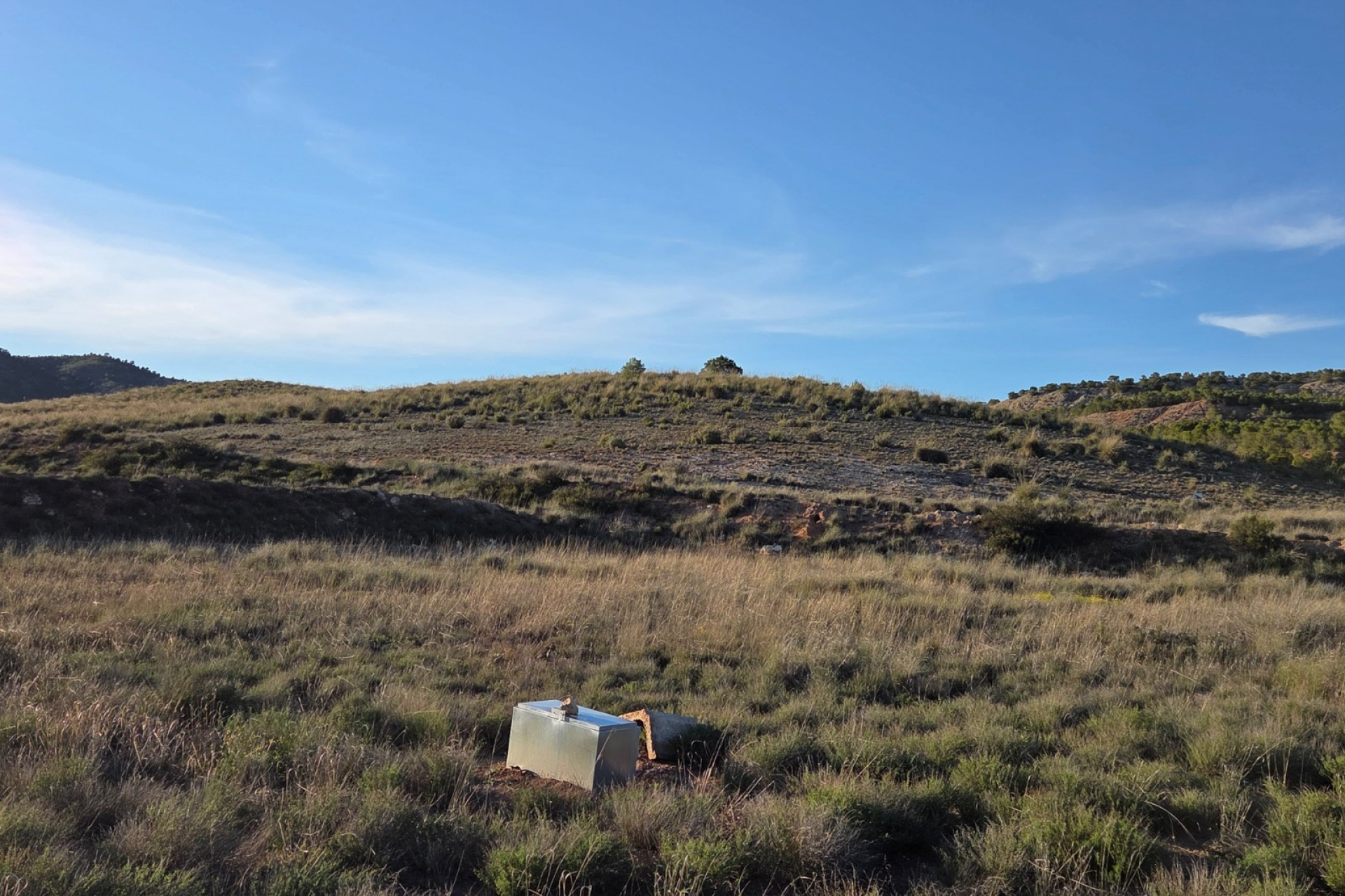 Revente - Terrain -
Yecla