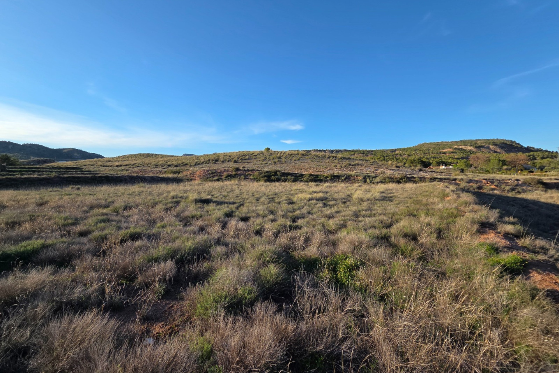 Revente - Terrain -
Yecla